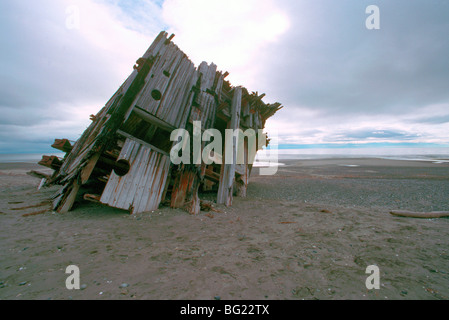 Haida Gwaii (Queen Charlotte Islands), Northern BC, Britisch-Kolumbien, Kanada - Pesuta Schiffbruch, Naikoon Park, Graham Island Stockfoto