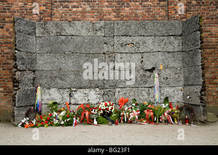 Die Mauer zwischen Wohnblocks 10 & 11, wo Häftlinge wurden erschossen / Hingerichtete SS feuern Mannschaften.  Lager Auschwitz. Polen Stockfoto