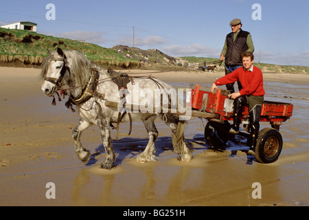 Meer-Kohlenübernahme bei Seaham, County Durham, England, UK Kohle aus einer sichtbaren Naht an Land gespült ist hier versammelt. Stockfoto