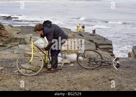 Meer-Kohlenübernahme bei Seaham, County Durham, England, UK Kohle aus einer sichtbaren Naht an Land gespült ist hier versammelt. Stockfoto