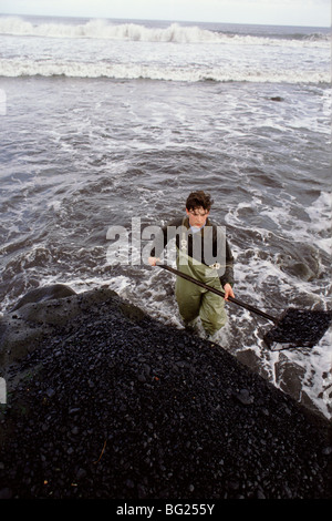 Meer-Kohlenübernahme bei Seaham, County Durham, England, UK Kohle aus einer sichtbaren Naht an Land gespült ist hier versammelt. Stockfoto