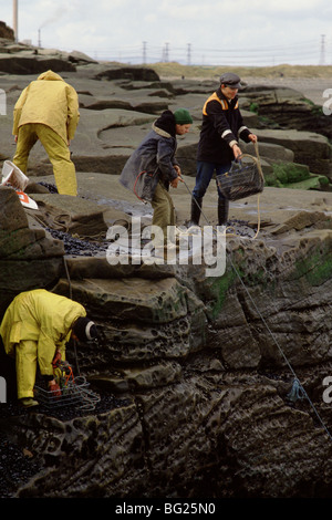 Meer-Kohlenübernahme bei Seaham, County Durham, England, UK Kohle aus einer sichtbaren Naht an Land gespült ist hier versammelt. Stockfoto