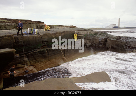 Meer-Kohlenübernahme bei Seaham, County Durham, England, UK Kohle aus einer sichtbaren Naht an Land gespült ist hier versammelt. Stockfoto