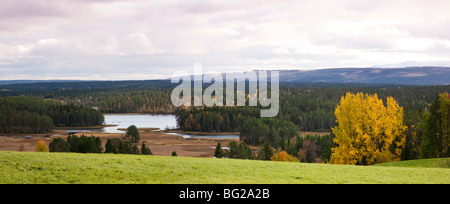 Landwirtschaft-Schweden Stockfotografie - Alamy