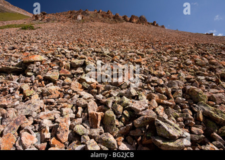 Große Berg Geröllhalde etwa 11.000 Fuß Bullion See-Porphyr Bereich, San Juan Mountains, Colorado, USA, Nordamerika. Stockfoto