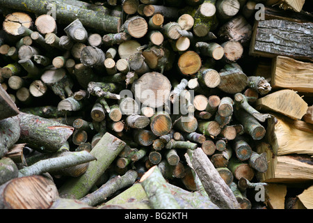 Brennholzhaufen/Holzhaufen/Holzstämme stapelbar Stockfoto