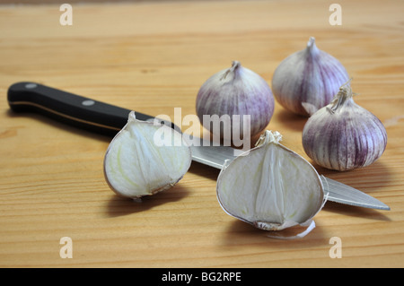 Exotische Neuzüchtung aus Knoblauch (Elephant Knoblauch), die nur eine Knoblauchzehe hat! Einige ganze, einige Hälften und Messer auf Schneidebrett. Stockfoto