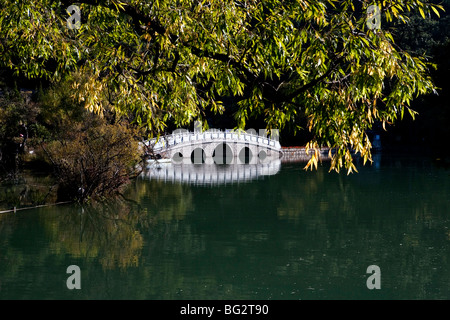 Marmorbrücke spiegelt sich in der Black Dragon Pool.Lijiang, Provinz Yunnan, China Stockfoto