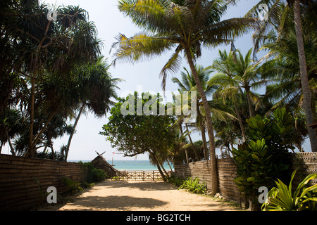 Tropical Beach House, Sri Lanka Stockfoto