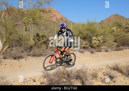 Ein Radfahrer fährt in die Sonora-Wüste auf dem Starr Pass Trail in Tucson Mountain Park, Tucson, Arizona, USA. Stockfoto