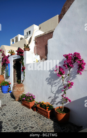 Gasse mit Töpfen und Blumen im Dorf Oia, Santorin, Griechenland Stockfoto