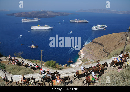 Touristen, die von Kreuzfahrtschiffen, Reiten Esel und Maultiere auf dem Weg zur Stadt Fira, Santorin, Griechenland Stockfoto