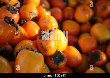 Diospyros kaki - Persimonen-Früchte aus der Nähe Stockfoto