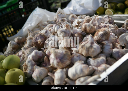 Ganze Knoblauch Zwiebeln für den Verkauf in einem spanischen Markt, gefleckten Licht. Stockfoto