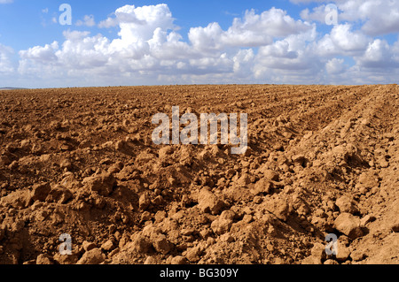 Israel, Negev-Wüste, Ploughed Feld Stockfoto