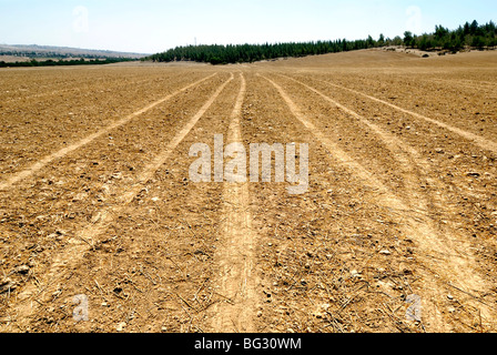 Israel, Negev-Wüste, Ploughed Feld Stockfoto