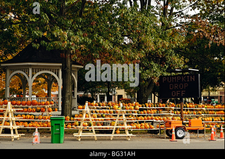 Kürbisfest, Keene, Cheshire County, New Hampshire, USA Stockfoto