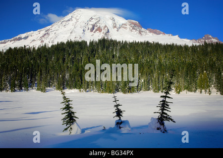 Mt Rainier am Reflection Lakes mit drei kleinen Bäumen Stockfoto