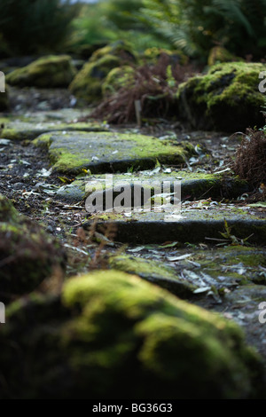 Alten Pfad im Grasagardur Park in Reykjavik, Island Stockfoto