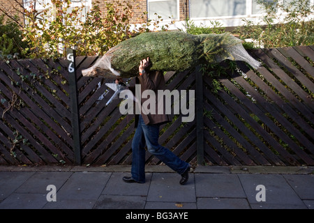 ein Mann, der einen Weihnachtsbaum an Columbia Road Flower Market in London gekauft hat Stockfoto