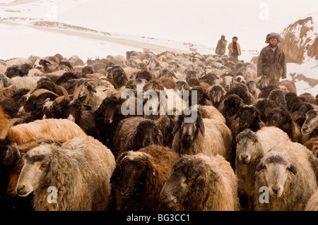 Afghanische Schafzüchter im Winter in der Provinz Faryab, Afghanistan. Stockfoto