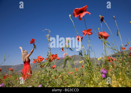 Frau im Mohnfeld, Castelluccio di Norcia, Norcia, Umbrien, Italien, Europa Stockfoto