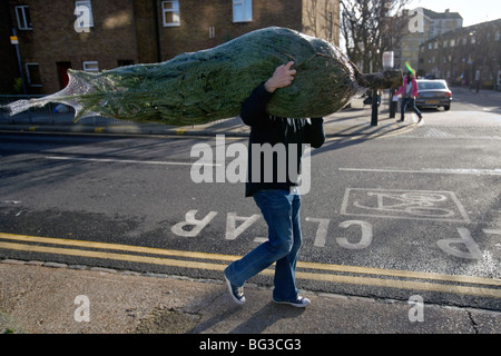 ein Mann, der einen Weihnachtsbaum an Columbia Road Flower Market in London gekauft hat Stockfoto