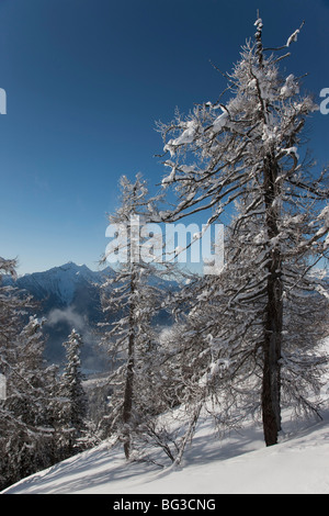 Val Vigezzo (Vigezzo-Tal), Piemont Region, Italien, Europa Stockfoto