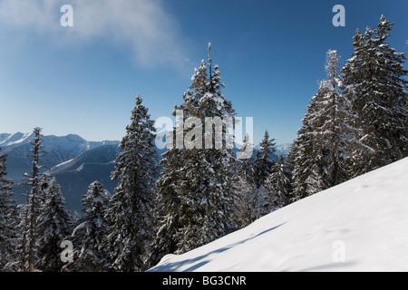 Val Vigezzo (Vigezzo-Tal), Piemont Region, Italien, Europa Stockfoto