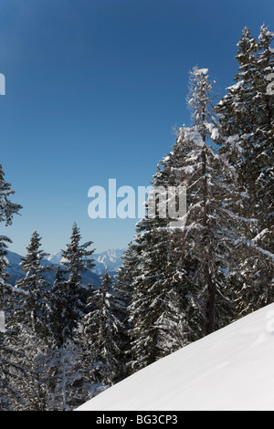 Val Vigezzo (Vigezzo-Tal), Piemont Region, Italien, Europa Stockfoto