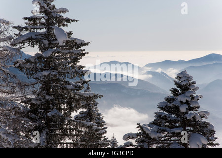 Val Vigezzo (Vigezzo-Tal), Piemont Region, Italien, Europa Stockfoto