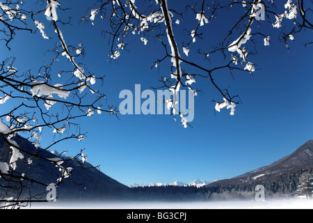 Val Vigezzo (Vigezzo-Tal), Piemont Region, Italien, Europa Stockfoto