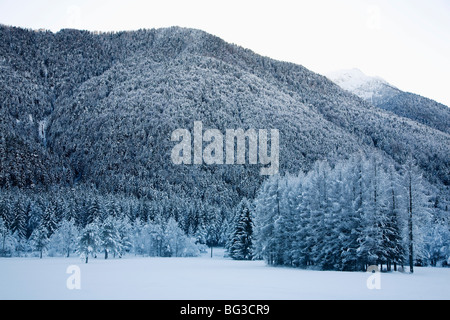 Val Vigezzo (Vigezzo-Tal), Region Piemont, die Alpen, Italien, Europa Stockfoto