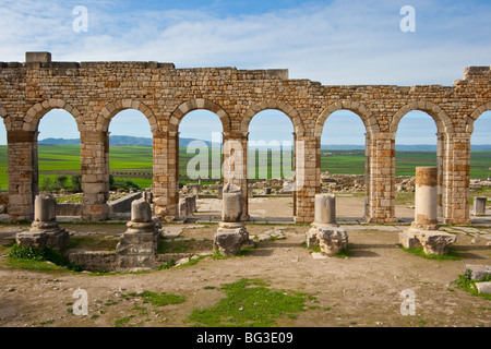 Romanische Basilika Ruinen in Volubilis in Marokko Stockfoto