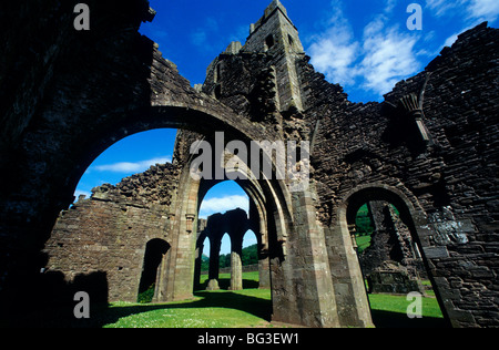 Die Ruinen von Llanthony Priory in den Black Mountains in der Nähe von Abergavenny in Wales Großbritannien Stockfoto