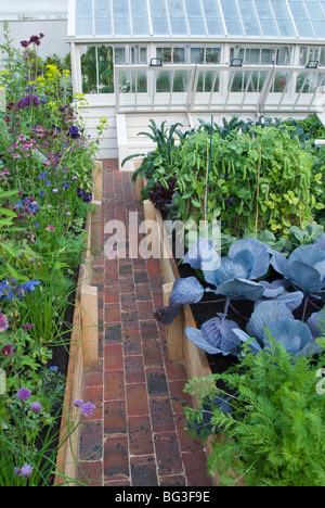 Schöner Gemüsegarten mit Hochbeeten, Ziegelsteinweg, moderne gehobene Gewächshaus & Blume Garten im Hinterhof-Garten Stockfoto