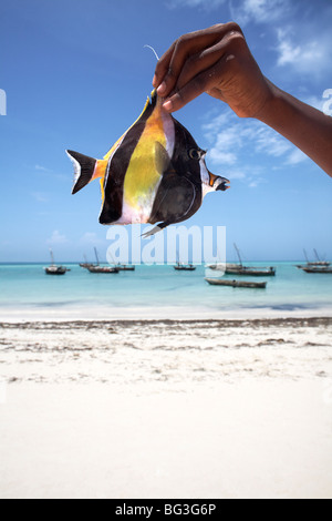 Eine tropische Fische in Nungwi Beach, Sansibar, Tansania, Ostafrika, Africa Stockfoto