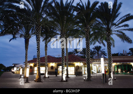 Weihnachtsbeleuchtung auf Palmen, Maspalomas, Gran Canaria Stockfoto