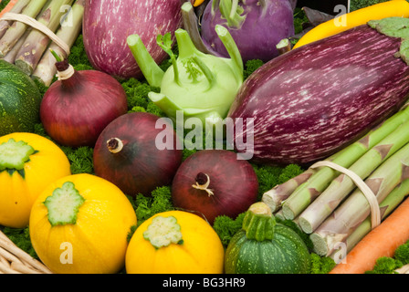 Kürbis, Aubergine, Spargel, Kohlrabi, Zwiebel, Zucchini, Karotten geerntet-Gemüse Stockfoto
