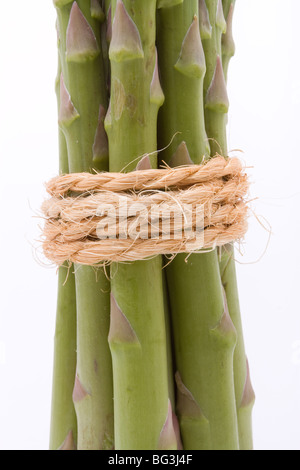 Spargelstangen mit Hanf oder Sisal Schnur halten sie ordentlich isoliert gegen weiße gebunden. Stockfoto