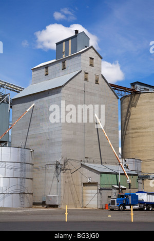 Getreidesilos, Ritzville, Washington State, Vereinigte Staaten von Amerika, Nordamerika Stockfoto