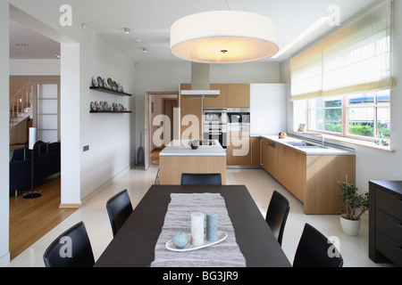 Modernes Interieur der Küche im privaten Haus. Vertikale. Frontale Ansicht. Stockfoto