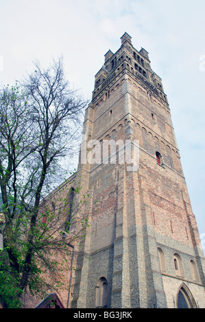 Sankt Salvator-Kathedrale in Brügge, Belgien Stockfoto