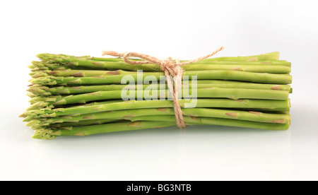 Bündel von frischem Spargel schießt mit einer Schnur gebunden Stockfoto