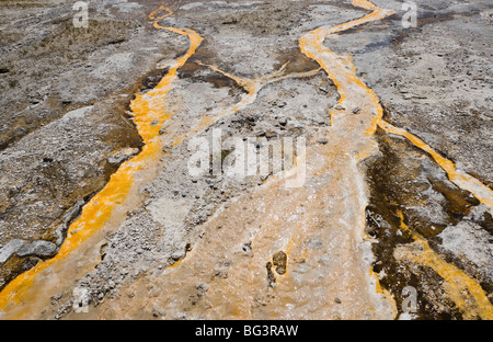 Pigmentierte Bakterien im Abflusswasser aus einer heißen Quelle im Yellowstone-Nationalpark, Wyoming, USA. Stockfoto