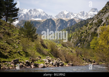 Pyrenäen in der Nähe von Jaca, Aragon, Spanien, Europa Stockfoto