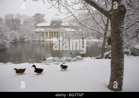 Crystal Palace im Schnee, Parque del Retiro, Madrid, Spanien, Europa Stockfoto