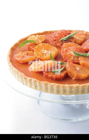 Blutorangen-Torte Stockfoto