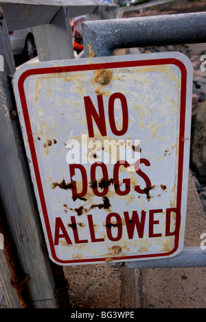 Ein Schild mit der Aufschrift keine Hunde erlaubt Stockfoto