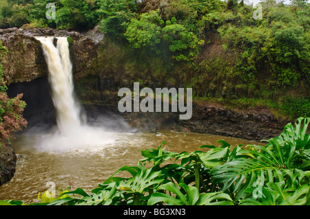 Wailuku River Rainbow Falls State Park an der Big Island, Hawaii, Vereinigte Staaten von Amerika, Nordamerika Stockfoto